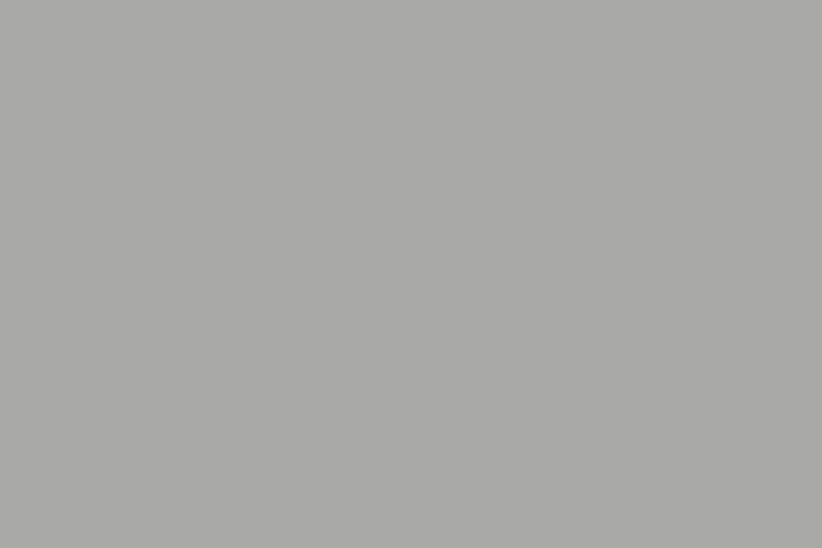 Stone gray
